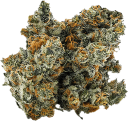 Minty Haze - Strain Guide | Zen Leaf Minty Haze - Strain Guide | Zen Leaf